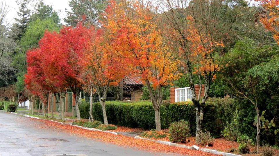 Apartamento Familia Sirangelo Gramado Exteriör bild