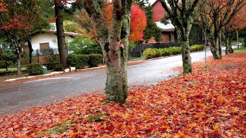Apartamento Familia Sirangelo Gramado Exteriör bild