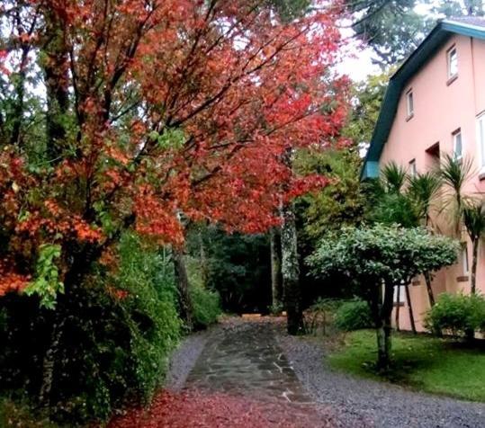 Apartamento Familia Sirangelo Gramado Exteriör bild
